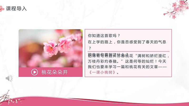 部编版初中语文七下第19课《一颗小桃树》 课件+教案02