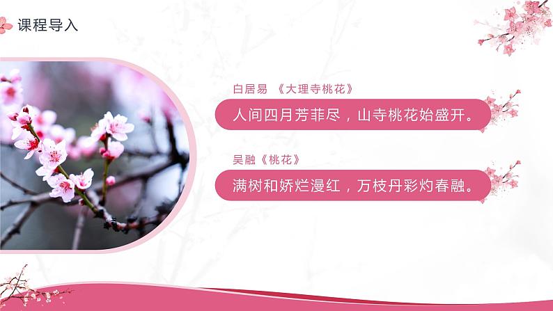 部编版初中语文七下第19课《一颗小桃树》 课件+教案03