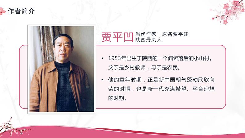 部编版初中语文七下第19课《一颗小桃树》 课件+教案04