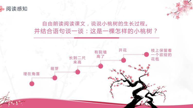 部编版初中语文七下第19课《一颗小桃树》 课件+教案07