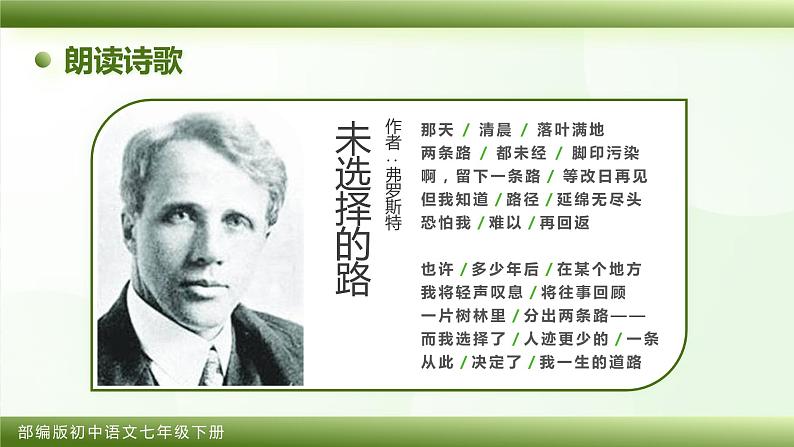 部编版初中语文七下第20课《外国诗二首》 课件+教案03