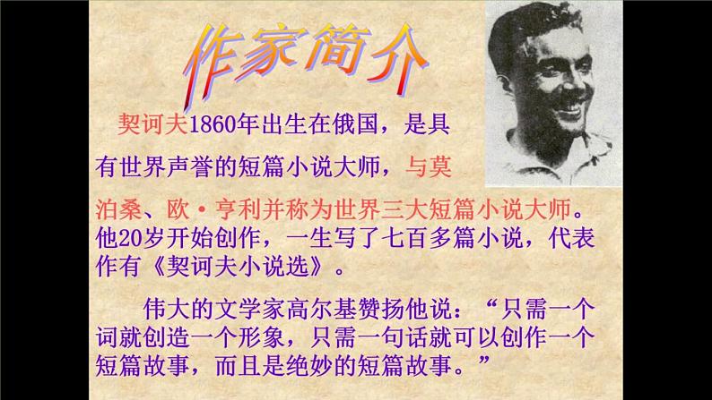 【部编版】九年级下册《变色龙》创新课件02