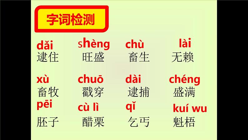 【部编版】九年级下册《变色龙》创新课件05