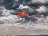 【部编版】九年级下册《风雨吟》教学课件