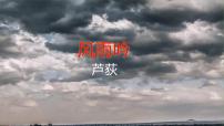 初中语文人教部编版九年级下册风雨吟教学ppt课件