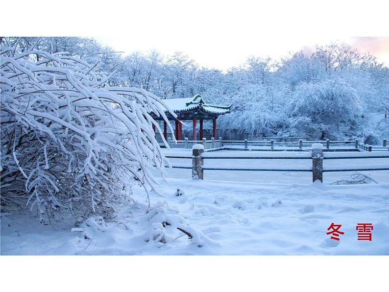 统编版八年级语文下册-5 大自然的语言 课件05