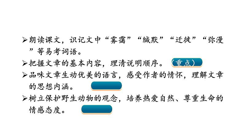 统编版八年级语文下册-7 大雁归来 课件第3页