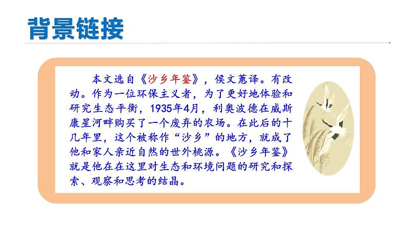 统编版八年级语文下册-7 大雁归来 课件第5页