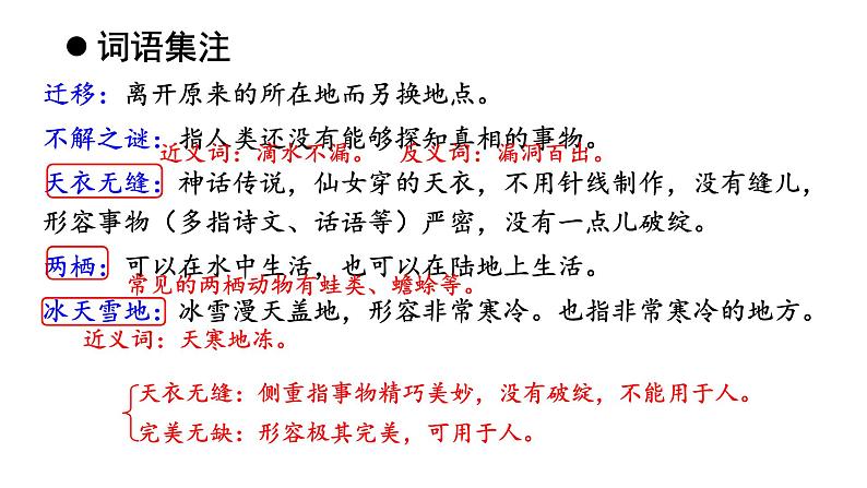 统编版八年级语文下册-6 阿西莫夫短文两篇 课件08