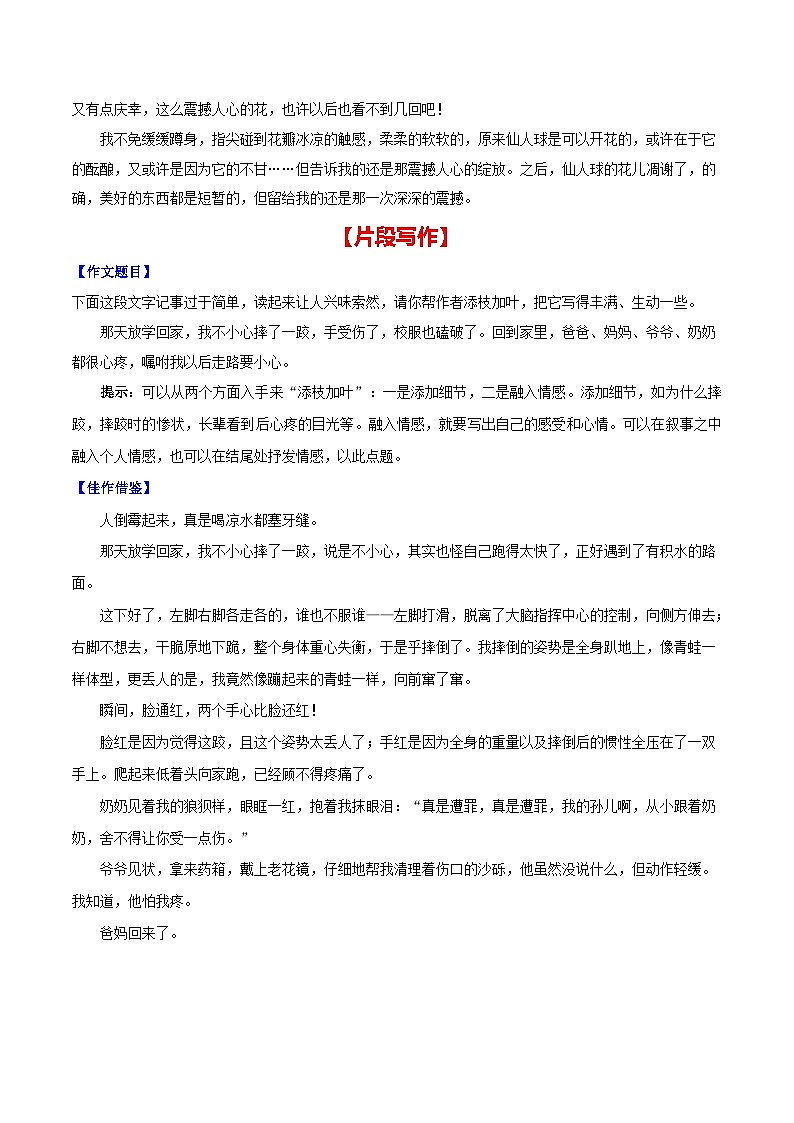 第二单元 学会记事-【从教材到中考】2023-2024学年七年级语文上册单元写作达标训练（统编版）第3页