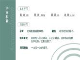 初中语文部编版八年级下册-5大自然的语言 课件+教案