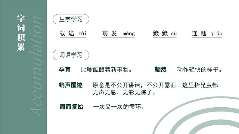 初中语文部编版八年级下册-5大自然的语言 课件+教案05