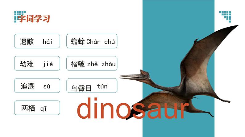 初中语文部编版八年级下册-恐龙无处不有课件第7页