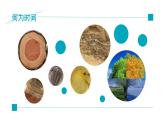 初中語文部編版八年級下冊-8時間的腳印 課件+教案