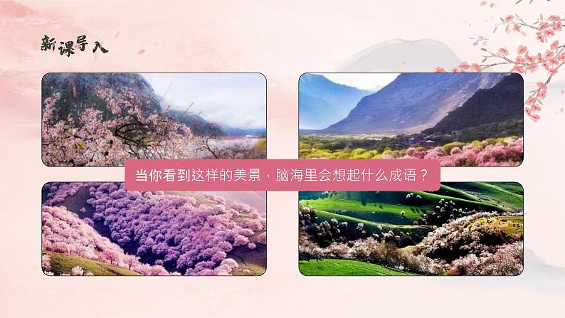 初中语文部编版八年级下册-9桃花源记 课件+教案03