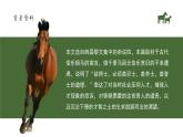 初中語文部編版八年級下冊-23馬說 課件+教案