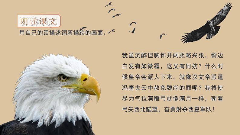 初中语文部编版九年级下册-12.词四首课件+教案05