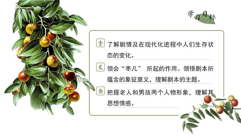 初中语文部编版九年级下册-枣儿课件第2页