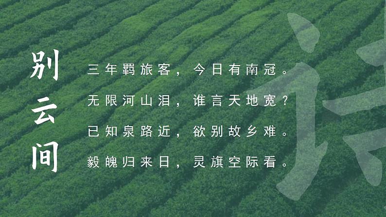 初中语文部编版九年级下册第6单元 课外古诗词课件+教案05