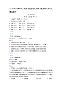 2021-2022学年四川成都市成华区九年级上学期语文期末试题及答案