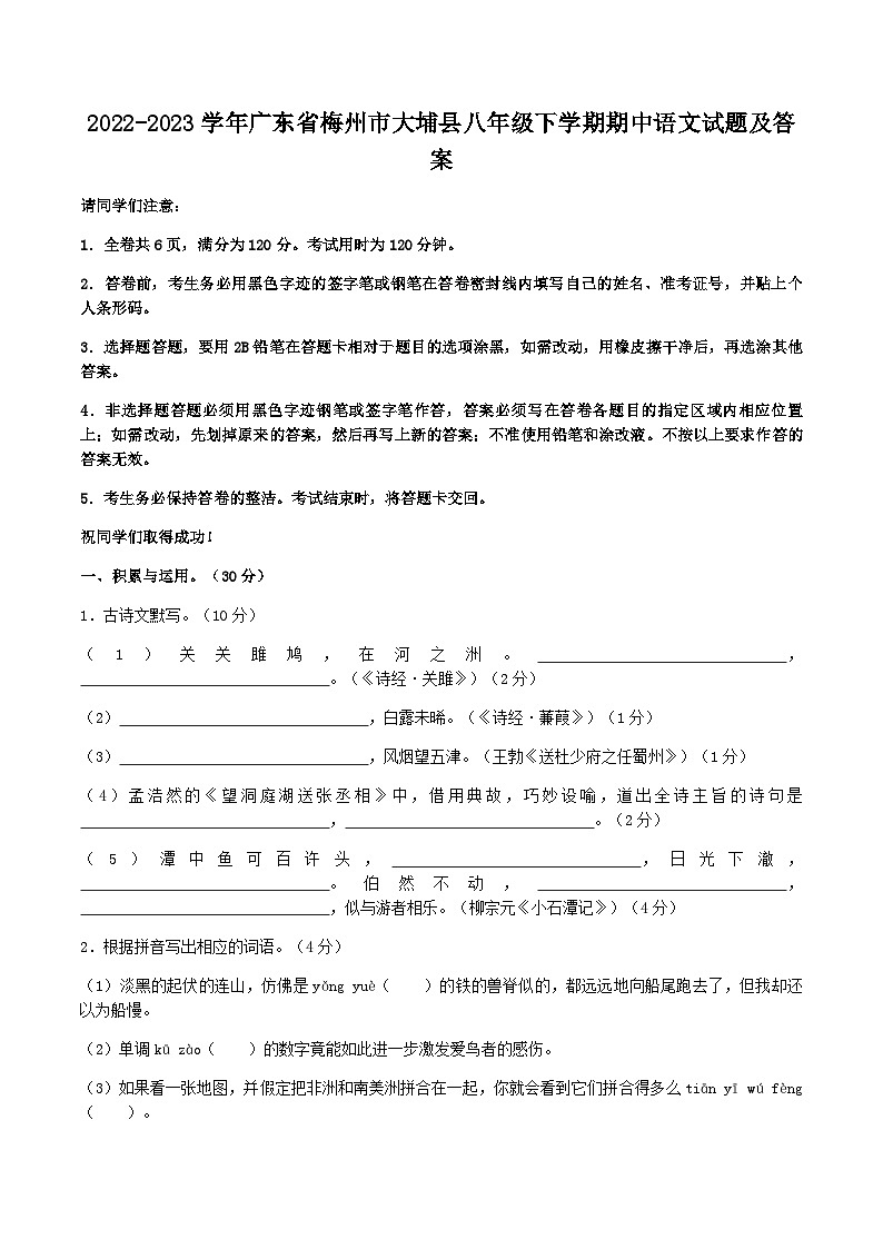 2022-2023学年广东省梅州市大埔县八年级下学期期中语文试题及答案01