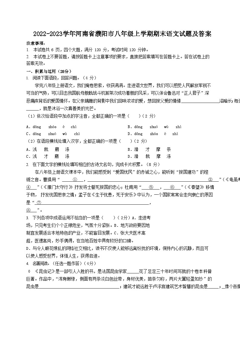 2022-2023学年河南省濮阳市八年级上学期期末语文试题及答案01