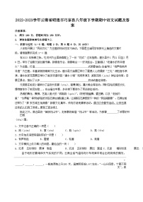2022-2023学年云南省昭通市巧家县八年级下学期期中语文试题及答案