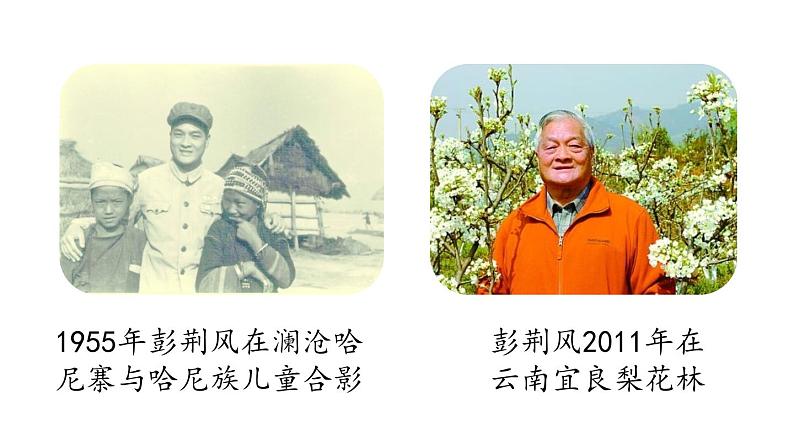 统编版七年级语文下册-15 驿路梨花  课件06