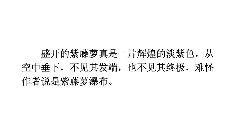 统编版七年级语文下册-18 紫藤萝瀑布  课件03