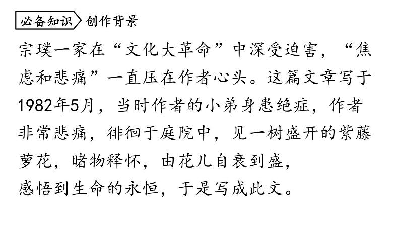 统编版七年级语文下册-18 紫藤萝瀑布  课件07