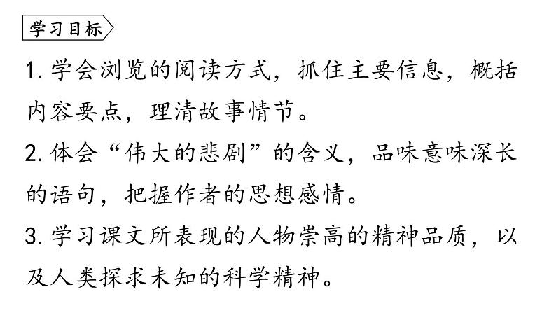 统编版七年级语文下册-22 伟大的悲剧  课件第4页