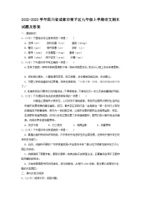 2022-2023学年四川省成都市青羊区九年级上学期语文期末试题及答案
