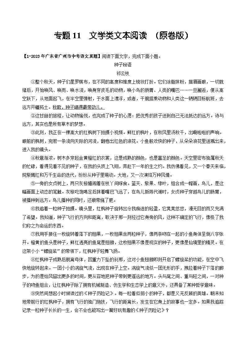 专题11 文学类文本阅读-备战中考语文专项精练（广东广州专用）01