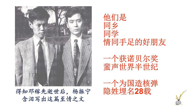 部编版七年级下册语文第1课《邓稼先》课件第8页