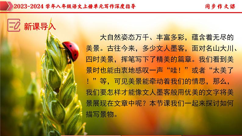专题09 第三单元写作+环境描写巧增色-2023-2024学年八年级语文上册单元写作深度指导（统编版）课件PPT第3页