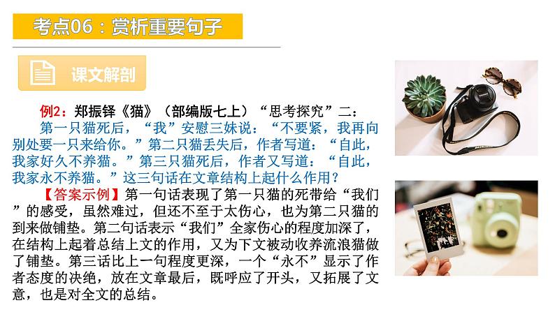 考点06：赏析重要句子-备战2024年中考语文现代文阅读高频考点精讲课件（全国通用）08
