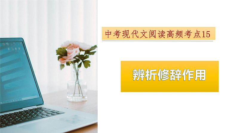 考点15：辨析修辞作用-备战2024年中考语文现代文阅读高频考点精讲课件（全国通用）第1页