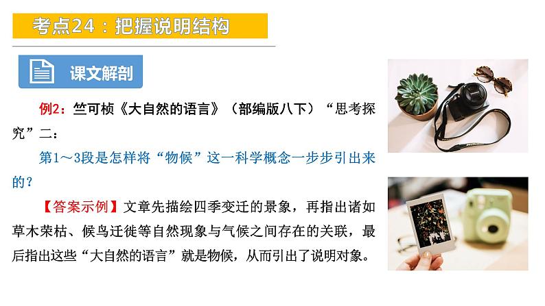 考点24：把握说明结构-备战2024年中考语文现代文阅读高频考点精讲课件（全国通用）第8页
