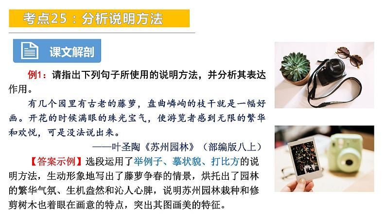 考点25：分析说明方法-备战2024年中考语文现代文阅读高频考点精讲课件（全国通用）第5页