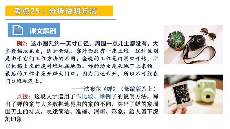 考点25：分析说明方法-备战2024年中考语文现代文阅读高频考点精讲课件（全国通用）第6页