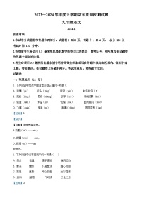 山东省临沂市兰山区2023-2024学年九年级上学期期末语文试题