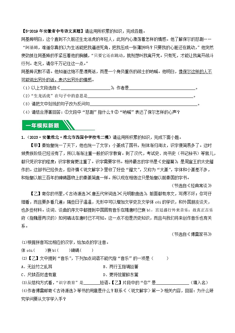 专题02 知识积累、名著阅读-5年（2019-2023）中考1年模拟语文真题分项汇编（安徽专用）03