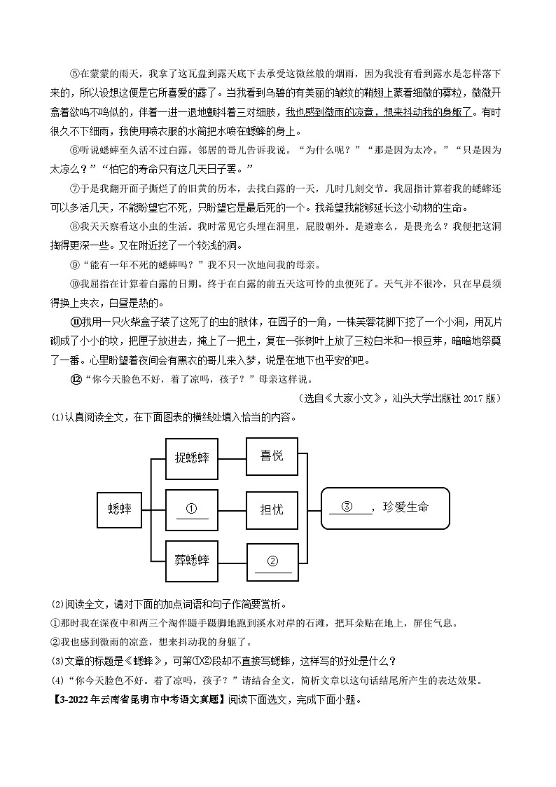 专题11 文学类文本阅读-5年（2019-2023）中考1年模拟语文真题分项汇编（云南专用）03