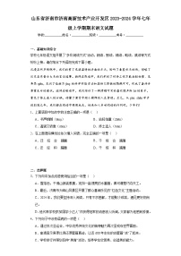 山东省济南市济南高新技术产业开发区2023-2024学年七年级上学期期末语文试题(含答案)