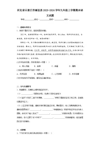 河北省石家庄市高邑县2023-2024学年九年级上学期期末语文试题(含答案)