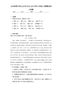 山东省枣庄市台儿庄区2023-2024学年八年级上学期期末语文试题(含答案)