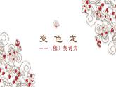 第6课《变色龙》课件-2023-2024学年统编版语文九年级下册