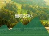 七年级语文上册同步备课  第十三课《植树的牧羊人》第一课时（教学课件）