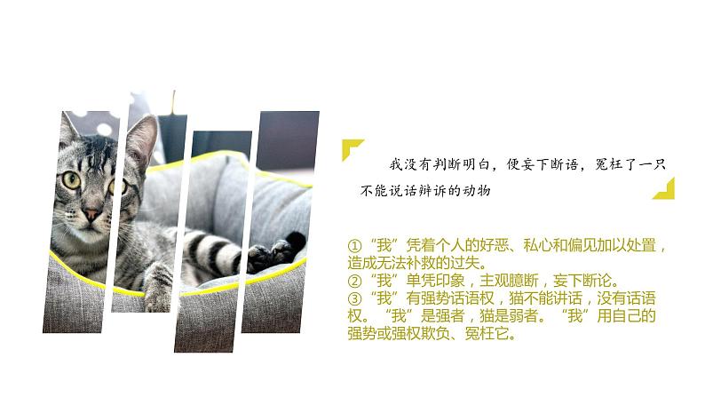 七年级语文上册同步备课  第十六课《猫》第二课时（教学课件）07