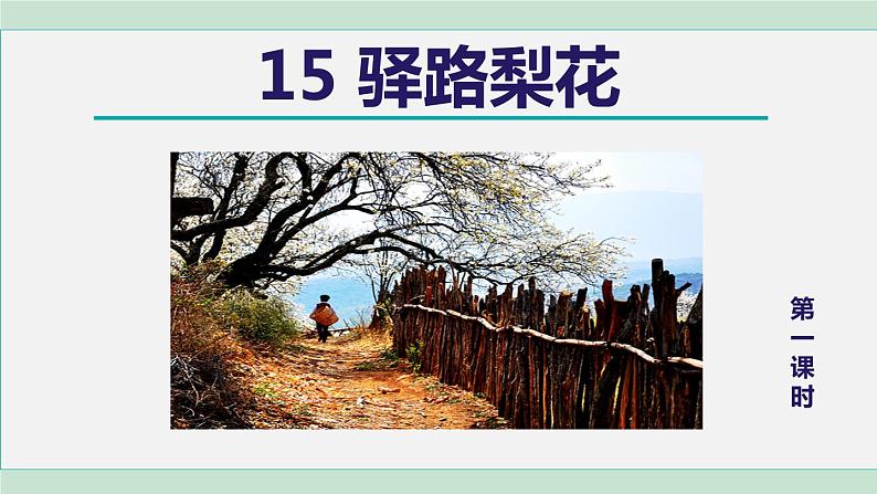 15. 驿路梨花 第1课时第5页